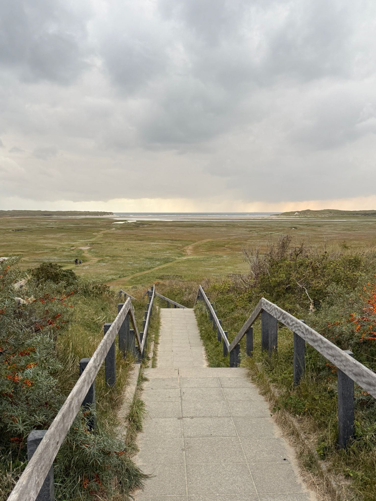 Wooden stairs descending through sea buckthorn toward a wide Texel marsh